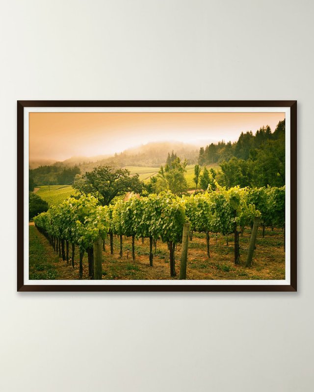 Sunset Vine Giclee