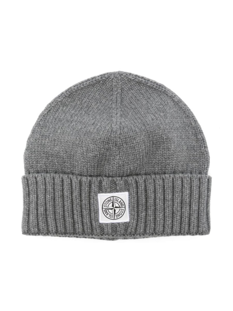 Compass-patch beanie