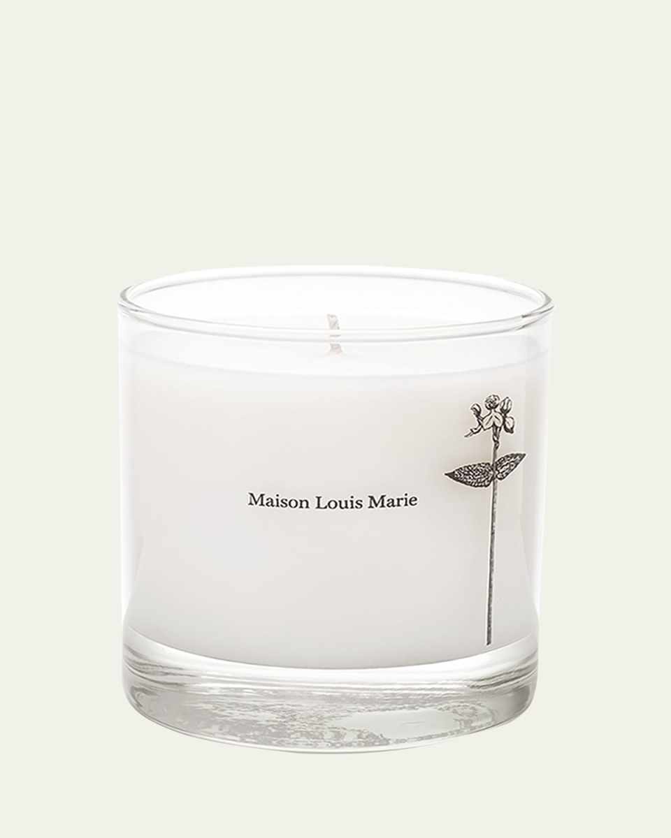 8.5 oz. Antidris Cassis Candle