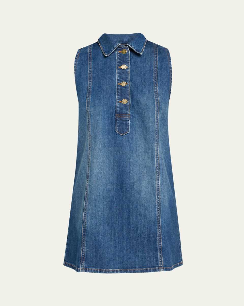 Donnie Denim Mini Dress