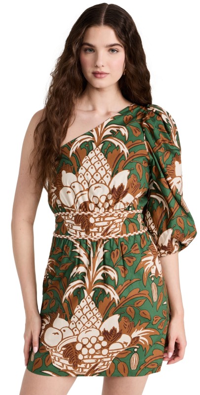 Cara Cara Danielle Dress Green Fruit Basket