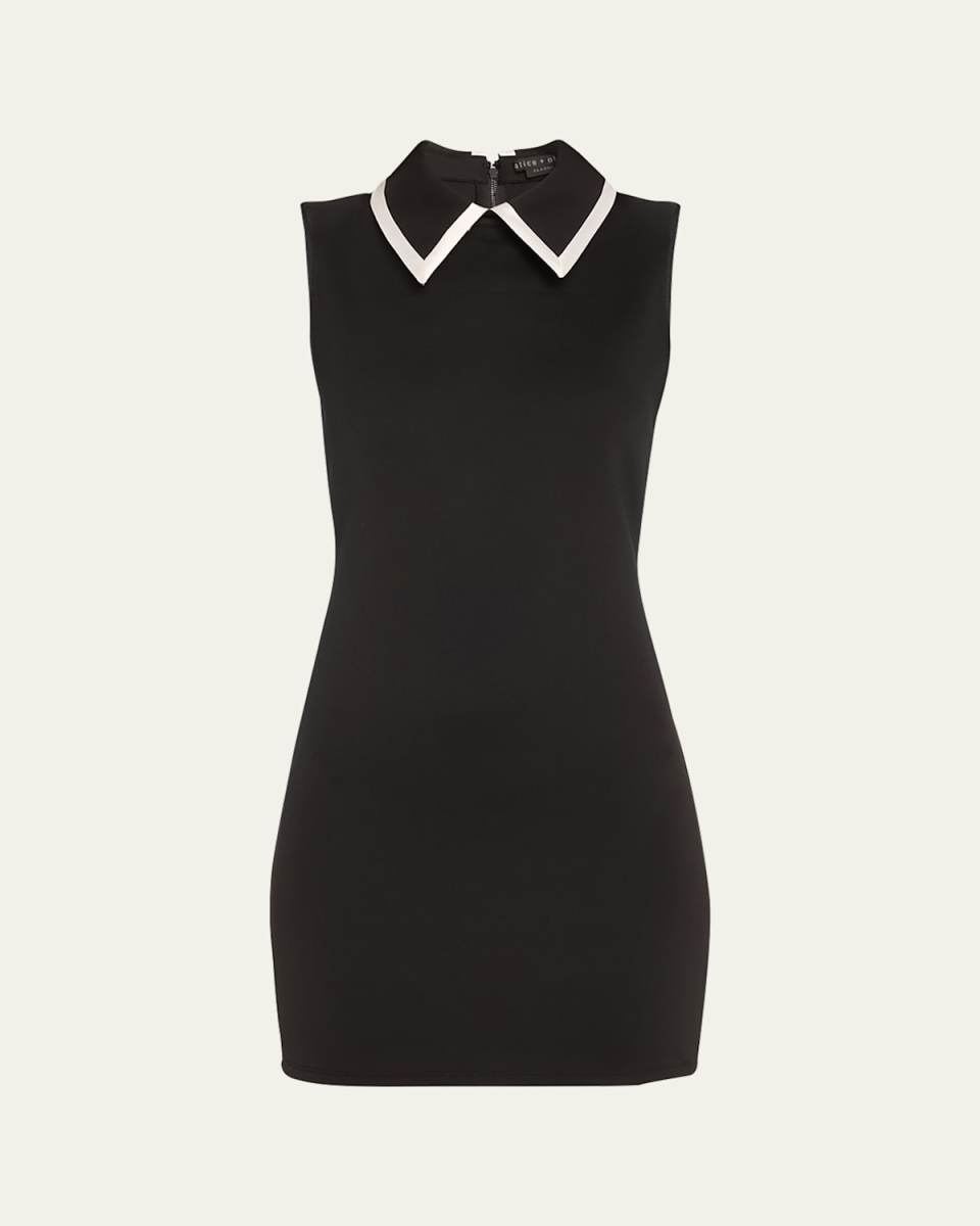 Wynell Collared Mini Dress