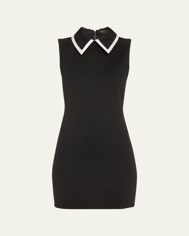 Wynell Collared Mini Dress