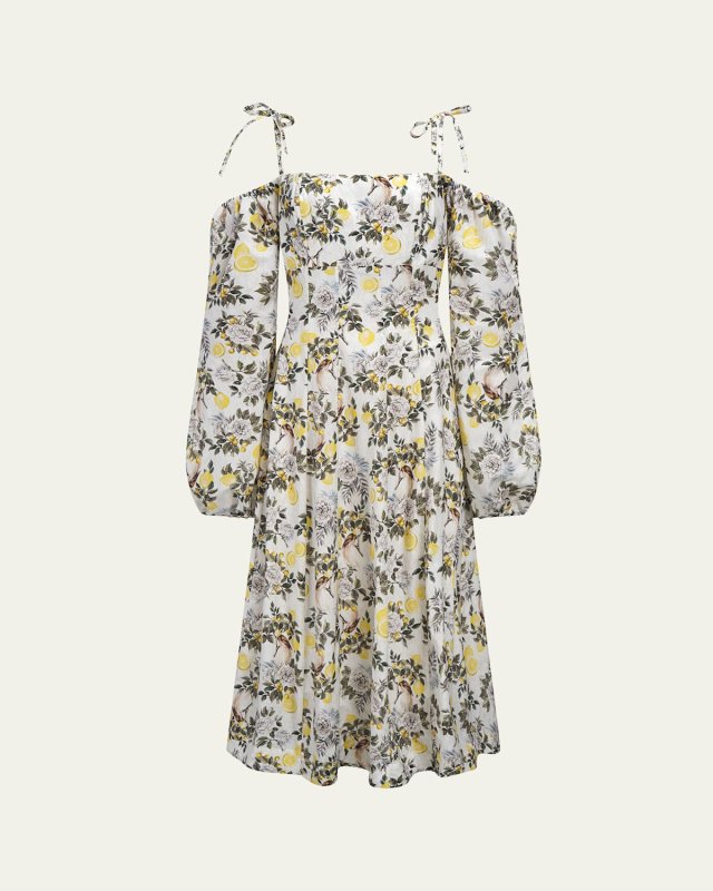 Clementine Greta Off-Shoulder Maxi Dress