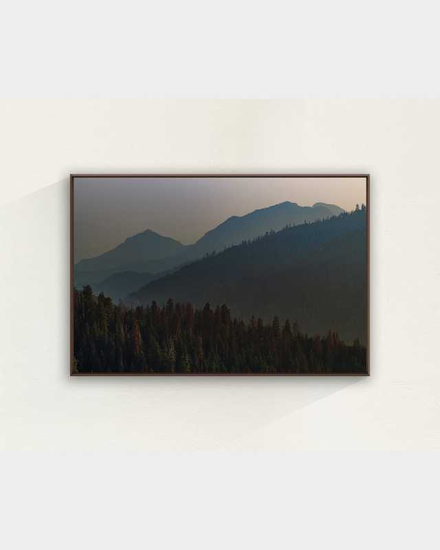 "Above the Trees" Framed Giclee by Adam Mowery, 56" x 38"