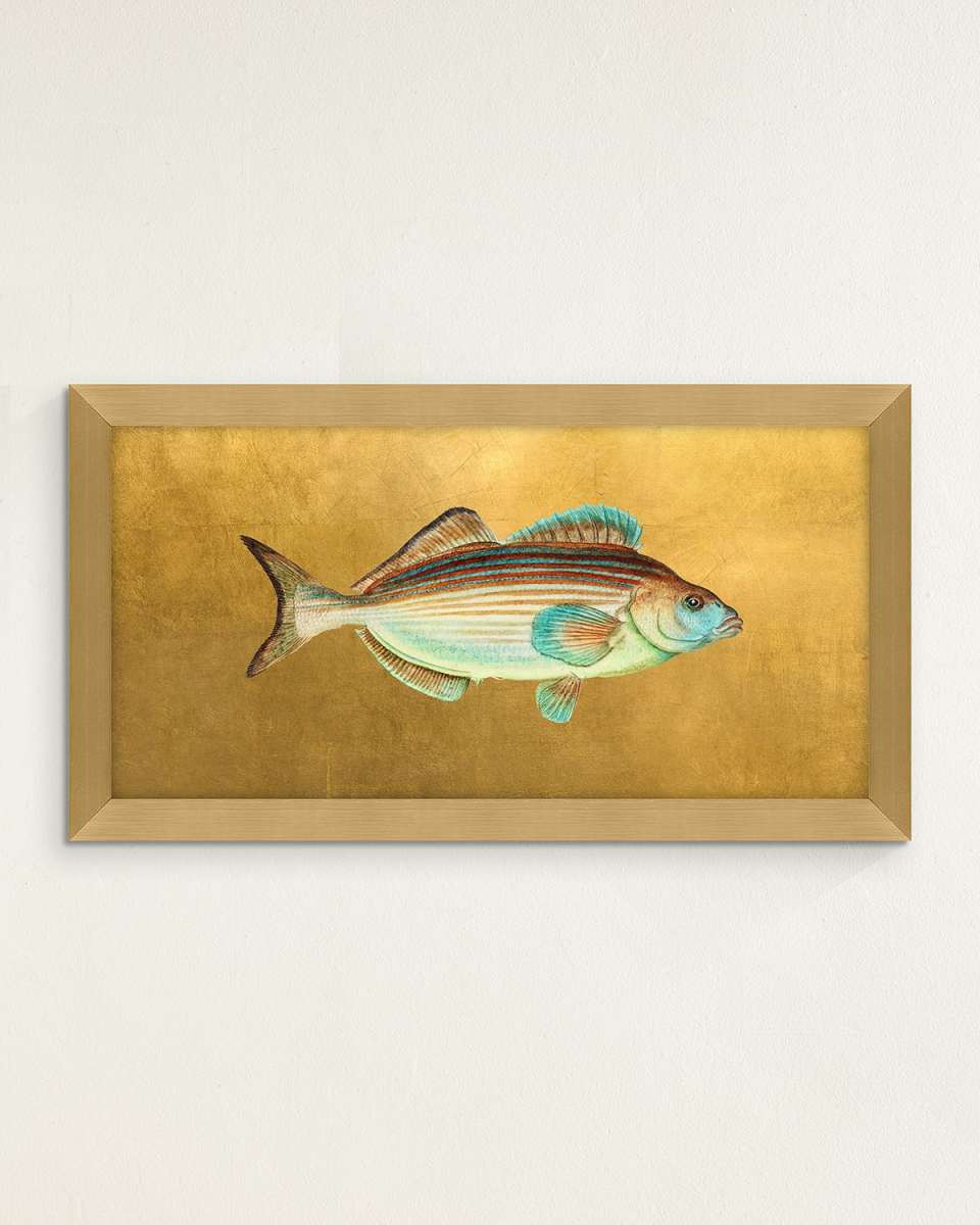 "Fish I" Giclee by Jackie Von Tobel