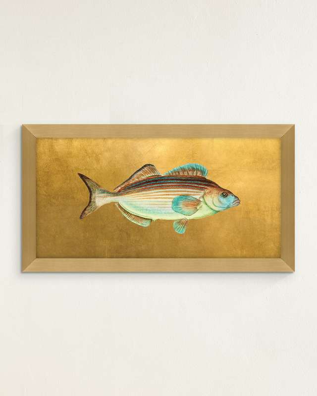 "Fish I" Giclee by Jackie Von Tobel