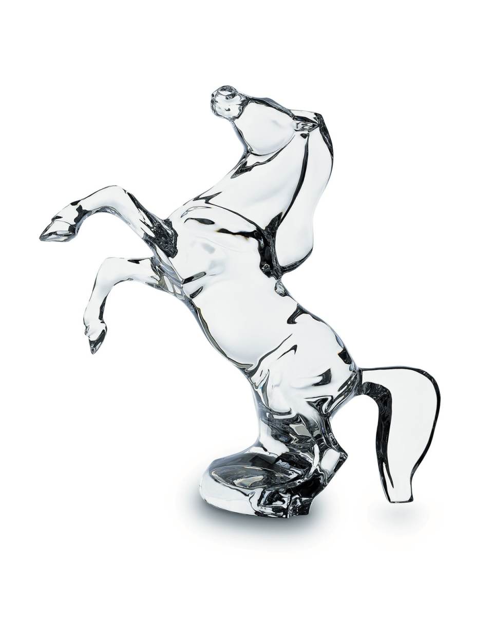 Rearing Horse
