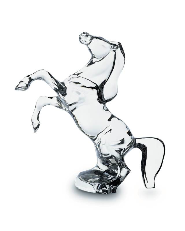 Rearing Horse
