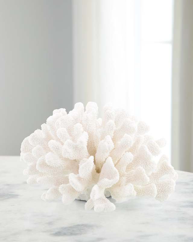 Maldives Coral