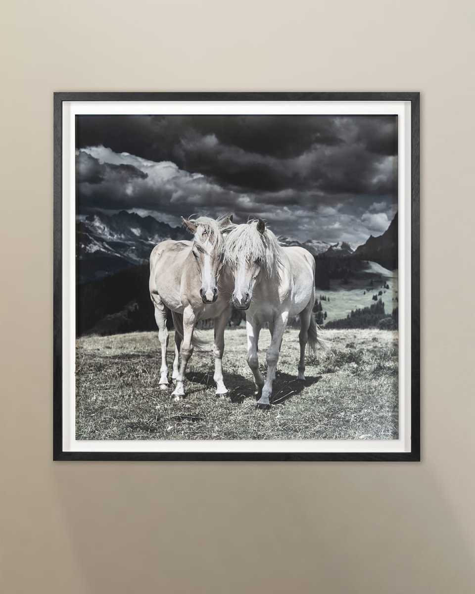 "Horses in Europe" Archival Digital Print by Chris Dunker
