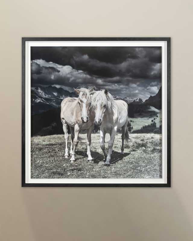 "Horses in Europe" Archival Digital Print by Chris Dunker
