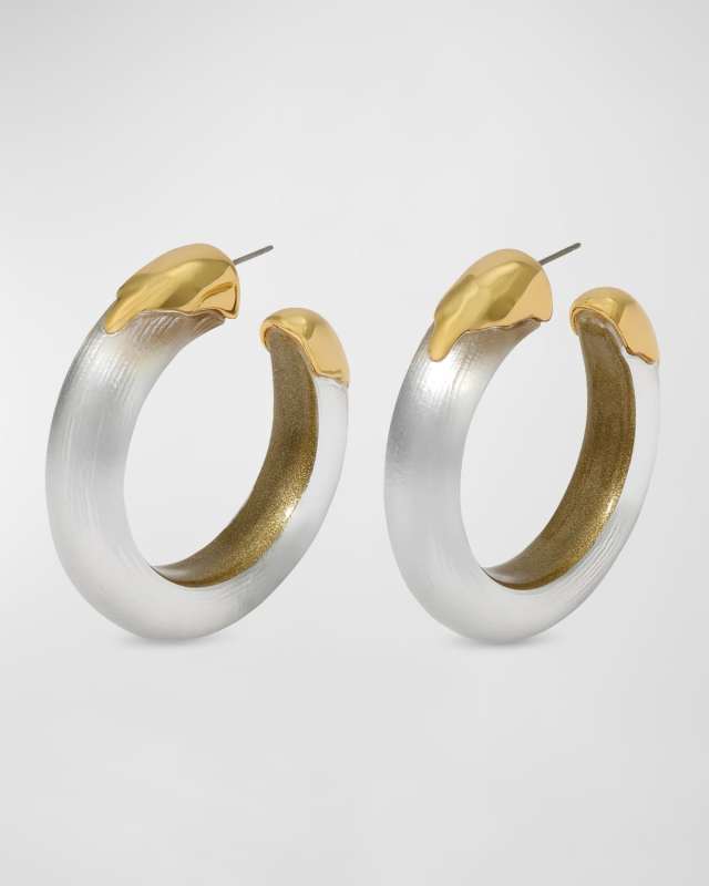 Luminous Lucite Gold Dipped Hoop Earrings