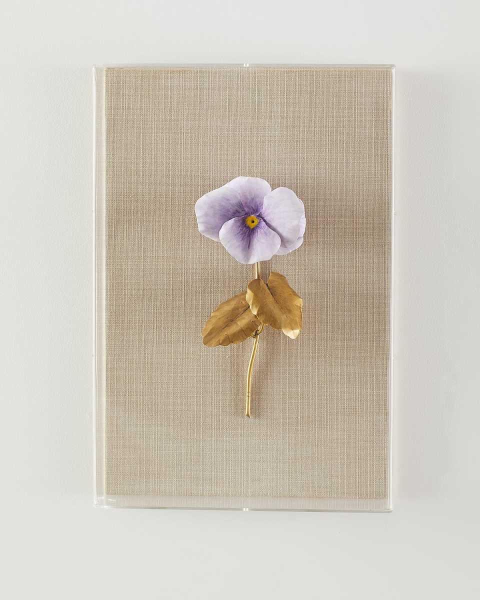 "Pansy Study 4" Wall Art