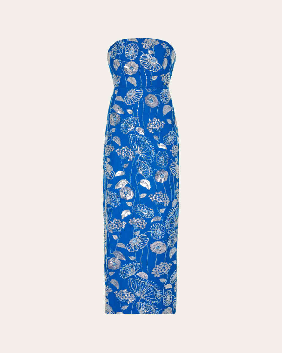 Orion Strapless Sequin Embroidered Maxi Dress