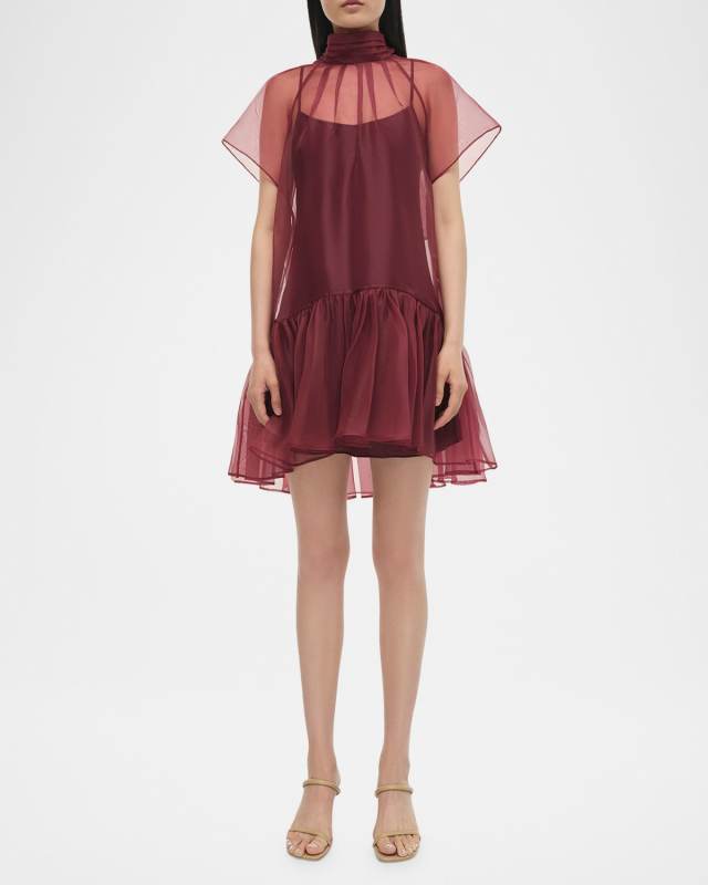Beaux Sheer Tiered Mini Dress