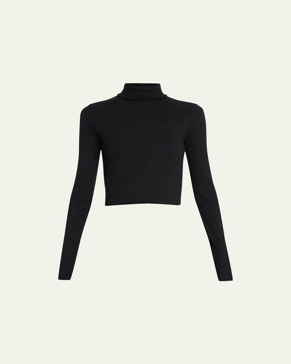 Cropped Fitted Turtleneck Top