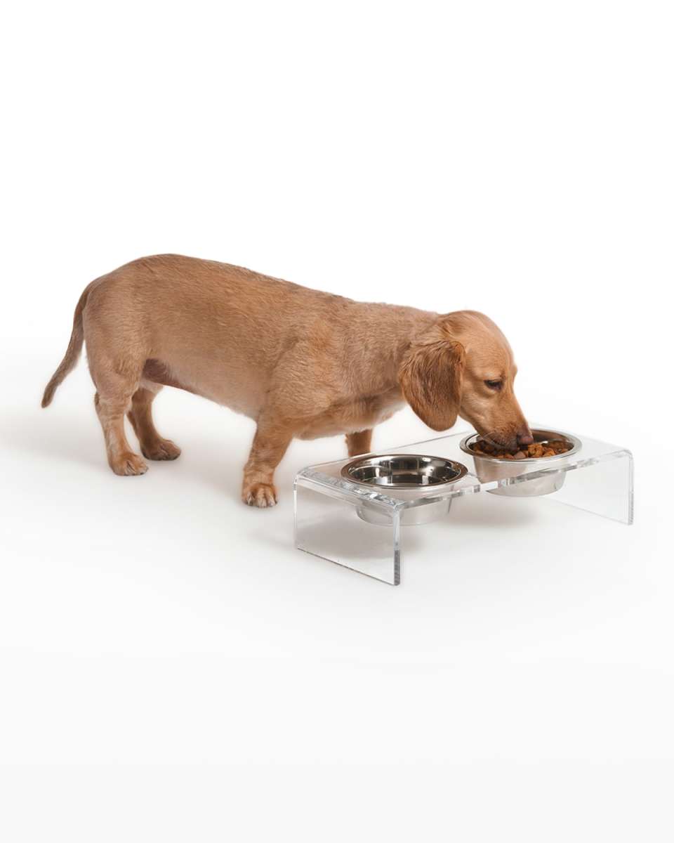 Small Clear Double Pet Bowl Feeder with 1 Pint Silver Bowls
