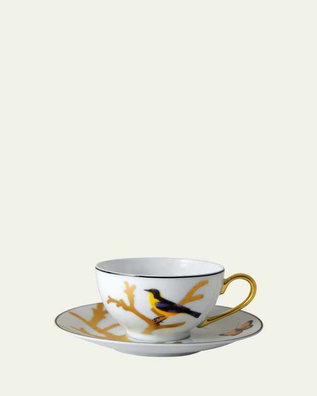 Aux Oiseaux Saucer