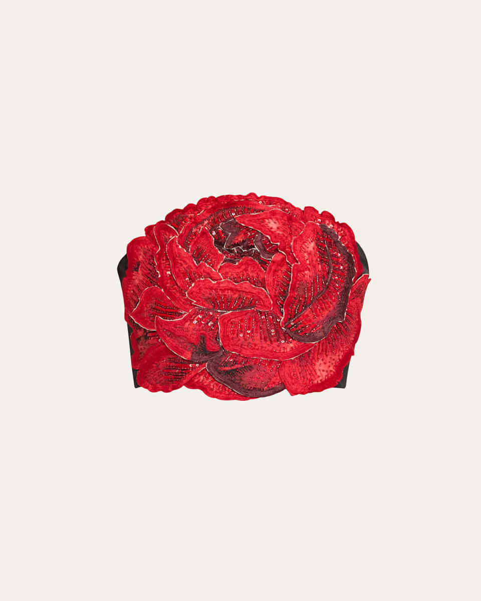 Randie Crystal Floral Applique Crop Top