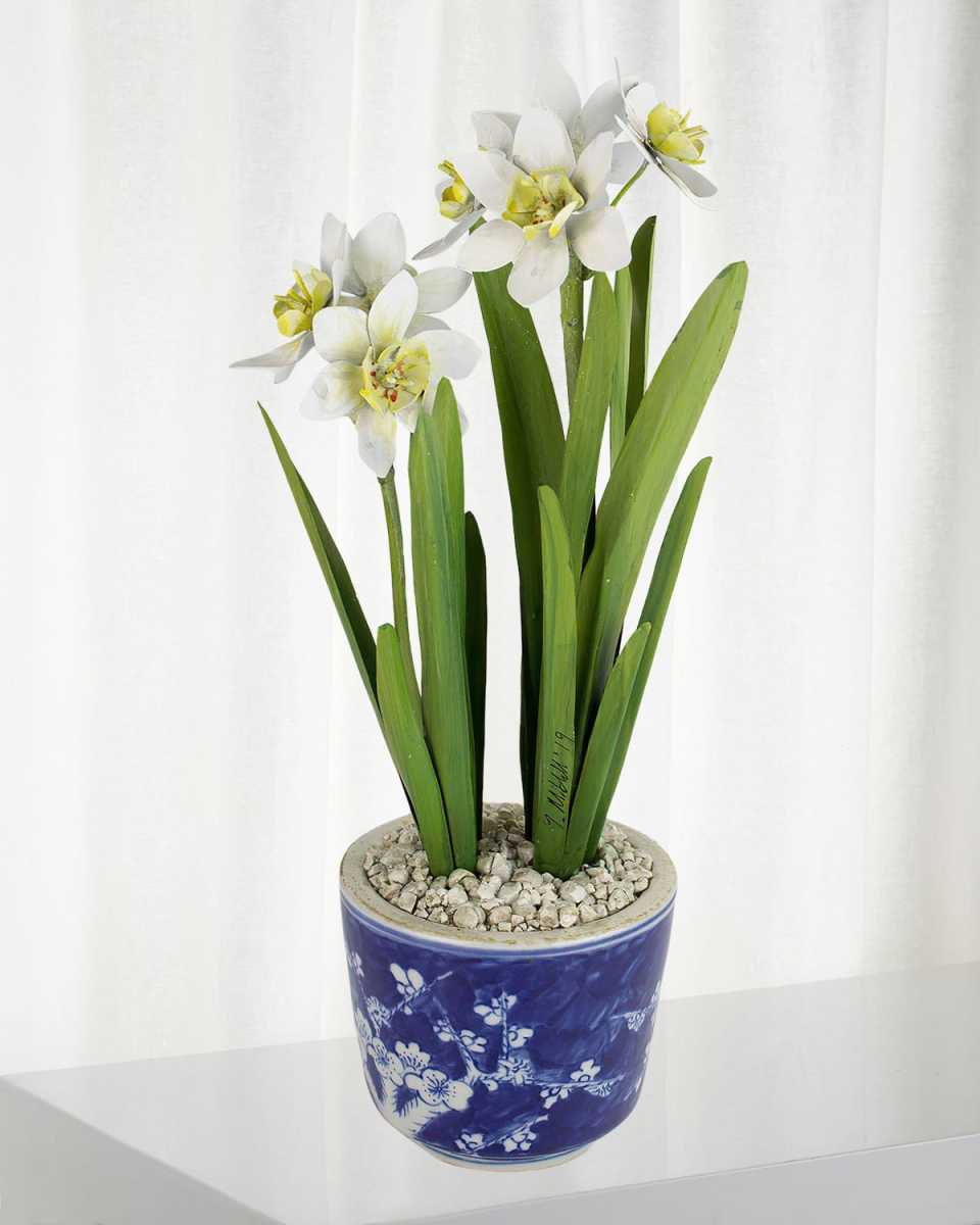 Narcissus December Birth Flower in Blue/White Ceramic Pot