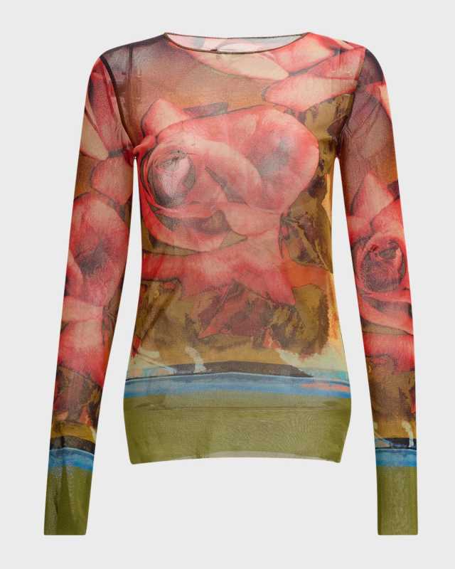 Roses Mesh Long-Sleeve Top