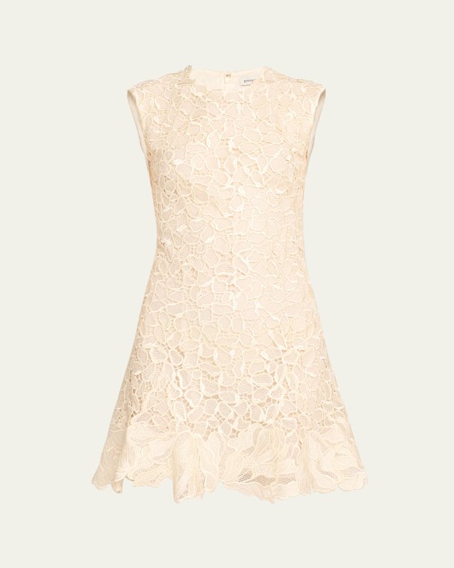 Drake Sleeveless Corded Lace Mini Dress