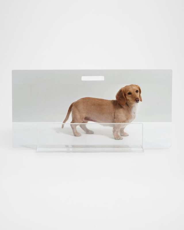 Low Clear Pet Gate Panel, 36"