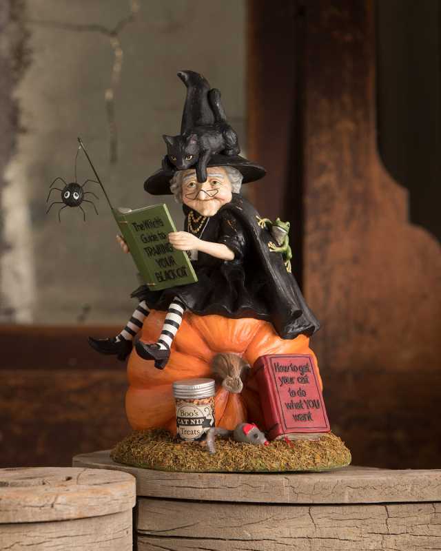 How To Train Your Black Cat Halloween Decoration