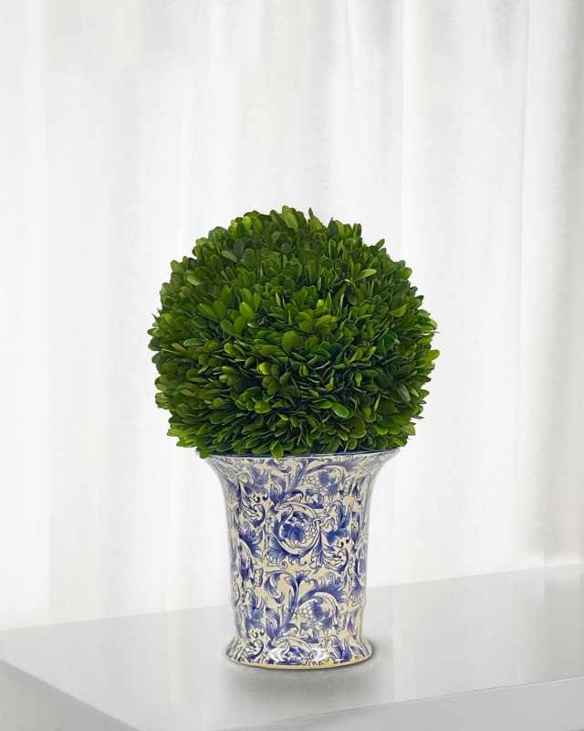 Preserved Boxwood Ball in Porcelain Vase - 14"