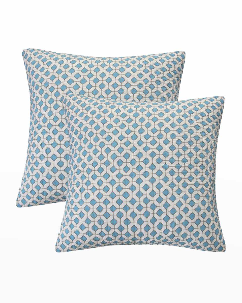 Grey Palladium Euro Shams, Set of 2