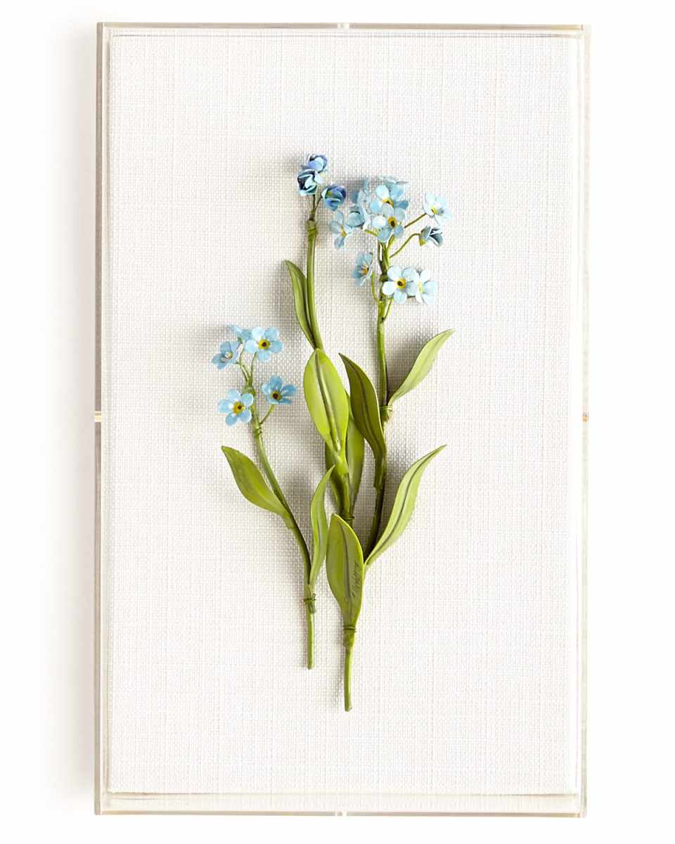 Original Painted Forget-Me-Not Study
