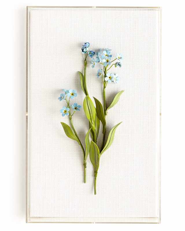 Original Painted Forget-Me-Not Study