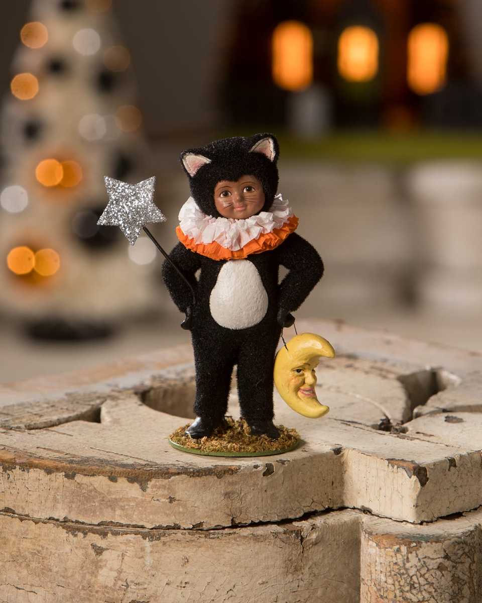 Dressed Up Dessi Halloween Cat