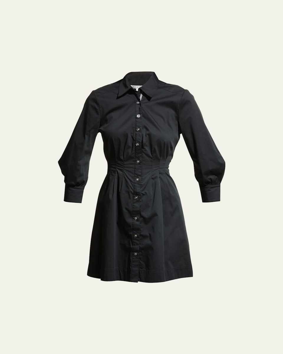 Polina Button-Front Pleated Shirt Dress
