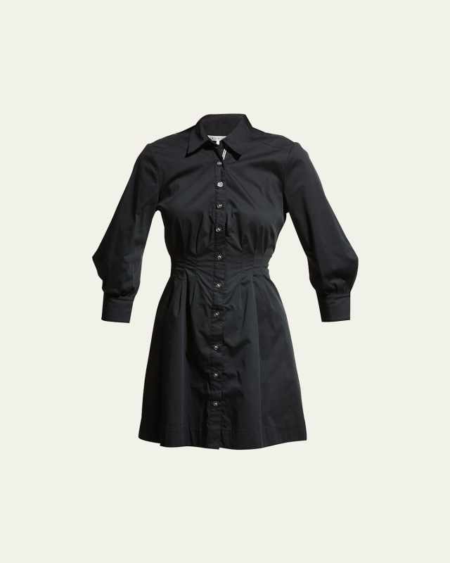 Polina Button-Front Pleated Shirt Dress