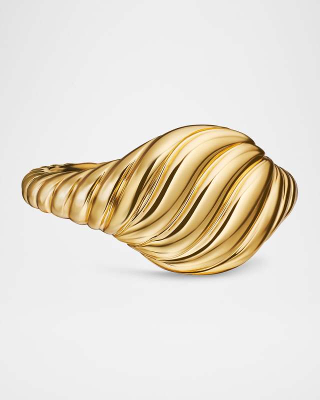 Sculpted Cable Pinky Ring in 18K Gold, 9.7mm