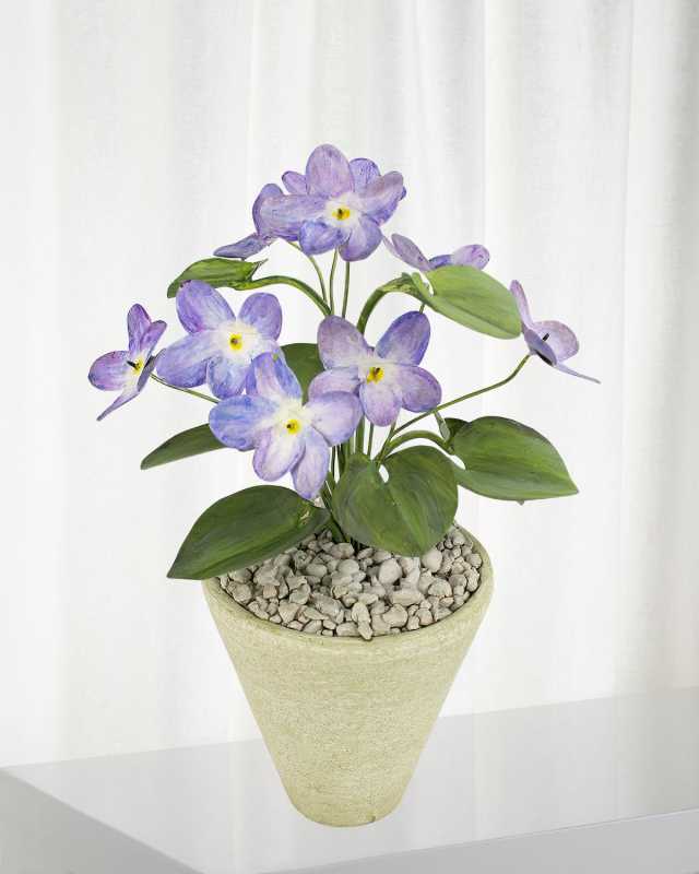 Violet February Birth Flower in White Terracotta Pot