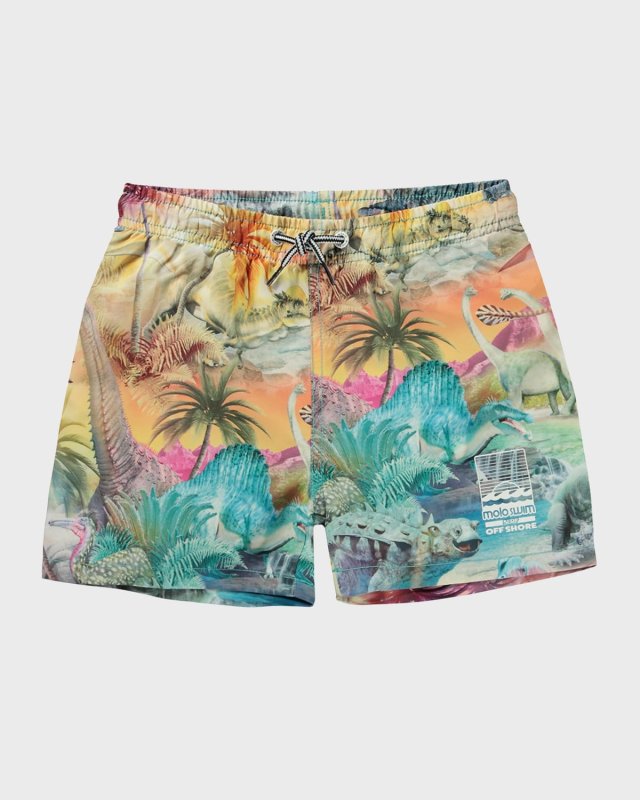 Boy's Niko Dino Paradis Swim Trunks, Size 7-10