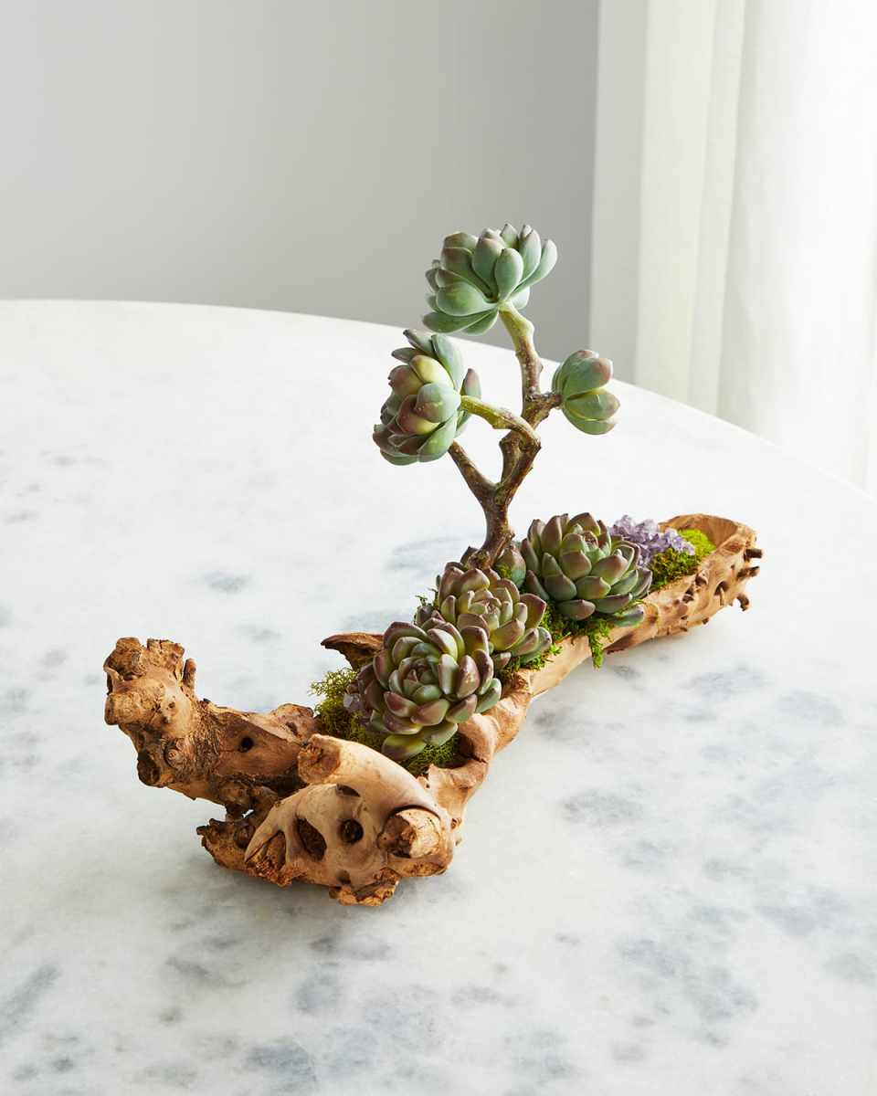 Baby Log Filled with Sedum