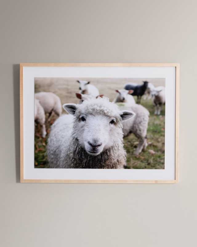 "Hi There" Photography Print Framed Handmade Art
