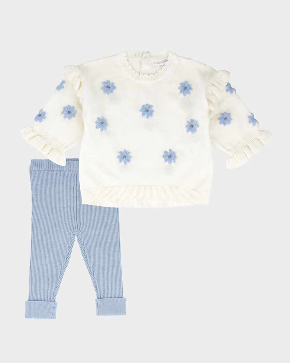 Girl's Sweatshirt W/ Embroidered Flowers & Matching Leggings Set, Size 3M-