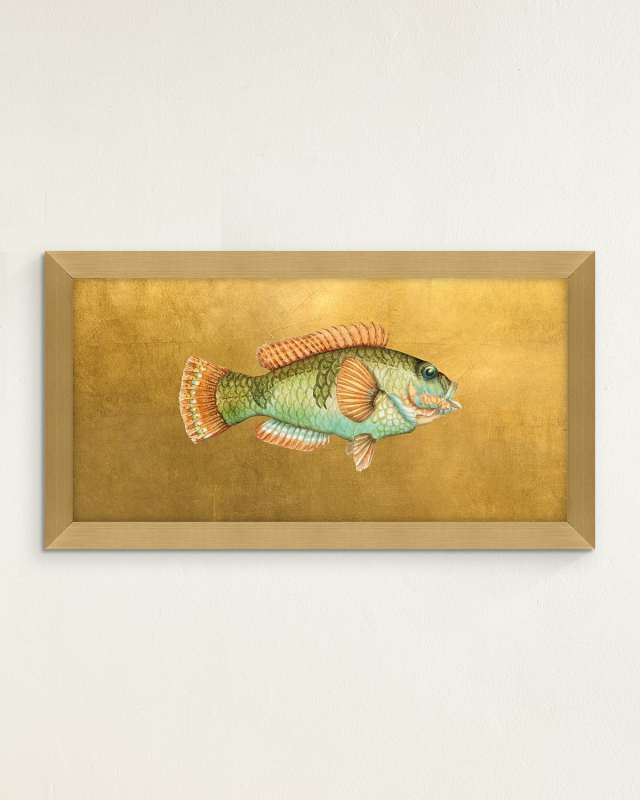 "Fish II" Giclee by Jackie Von Tobel