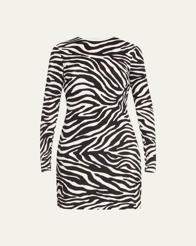Zebra-Print Silk Mini Dress