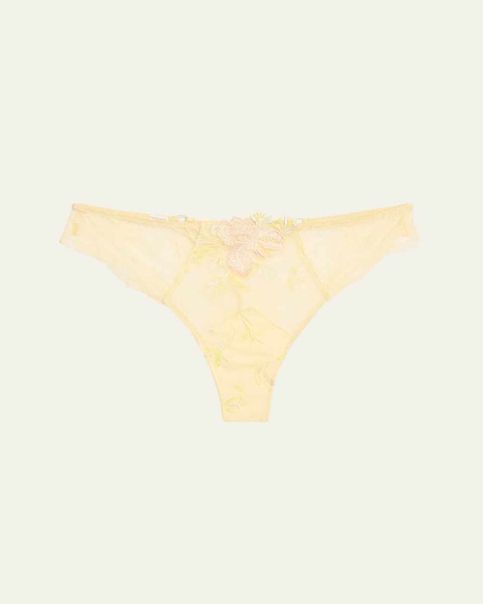 Frisson d'Or Embroidered Lace Thon