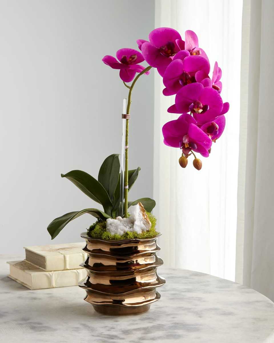 Orchid with Amethyst in Contemporary Pot