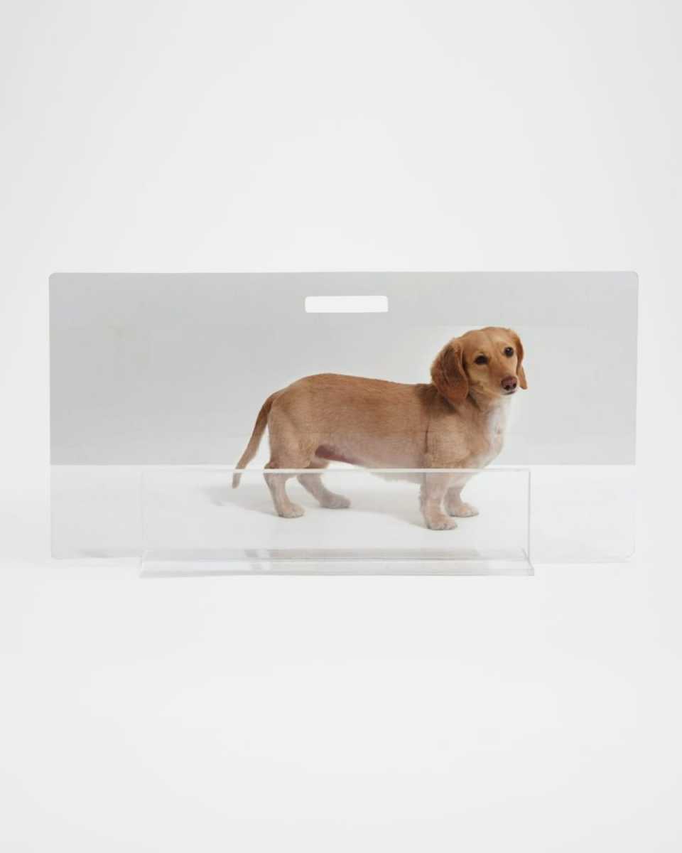Low Clear Pet Gate Panel, 32"
