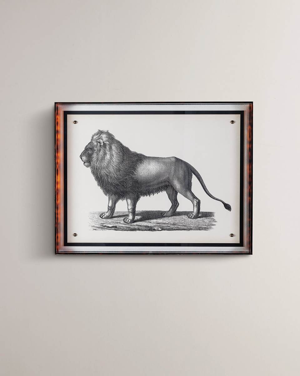 "Lion" Giclee