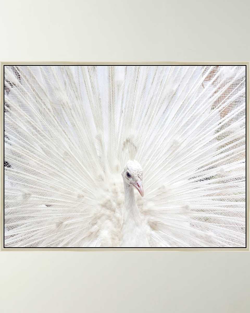 "Rare Beauty" Giclee