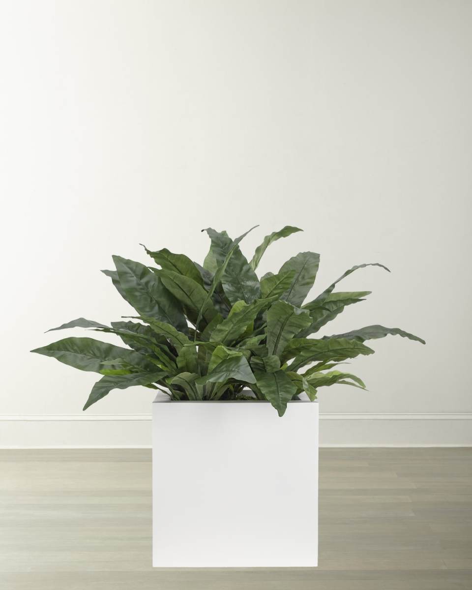 Faux Bird Nest Fern Plant in White Ceramic Planter